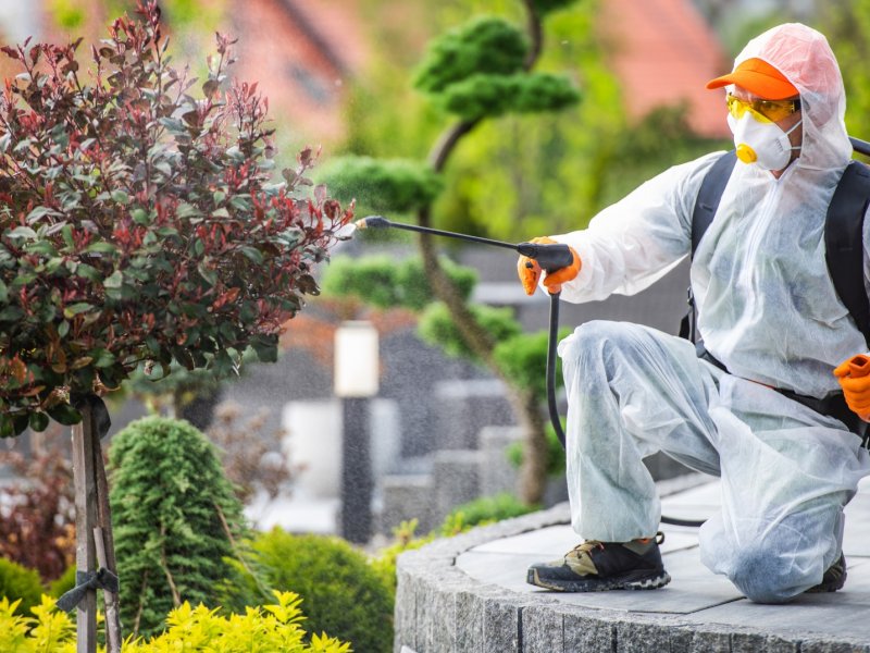 Buca Haşere İlaçlama