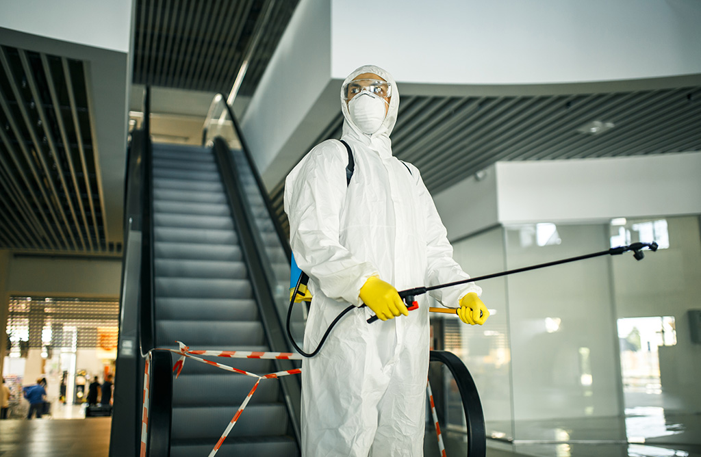 Buca Haşere İlaçlama